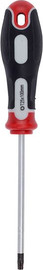 Varo מברג טורקס 100 מ"מ  KRT404108  T25